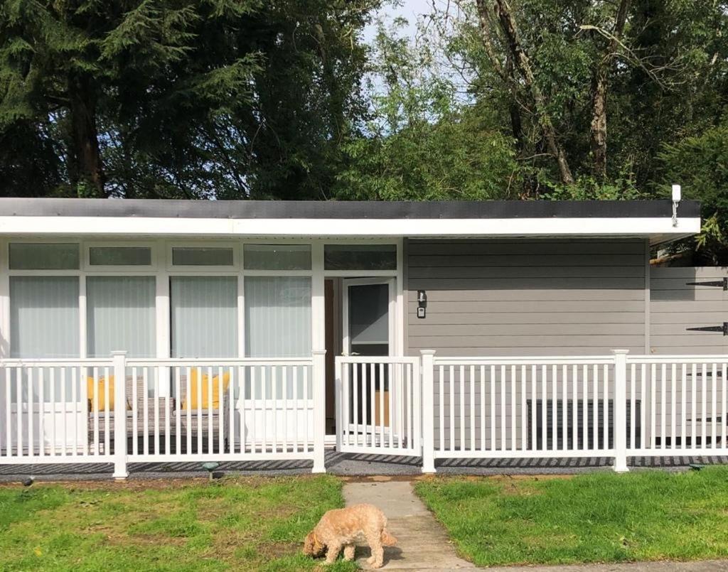 Woodlands Luxury Escape - Lodge 81 New Quay  Exterior foto